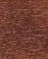 Farbmuster Golden Oak
